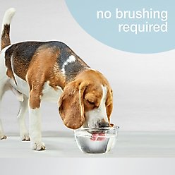 Nylabone Advanced Oral Care Dog Dental Water Additive, 32-oz bottle slide 2 of 8