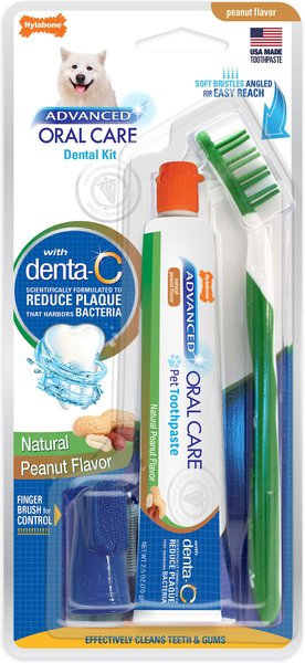 Nylabone Advanced Oral Care Natural Peanut Flavor Dog Dental Kit slide 1 of 10