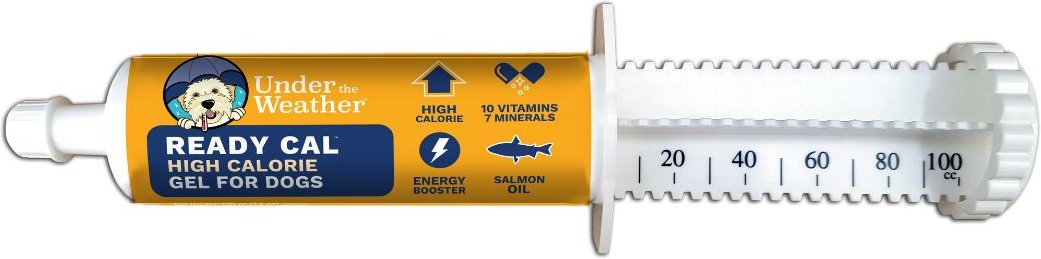 Under the Weather Ready Balance Probiotic Oral Microbial Gel Dog Supplement