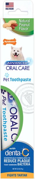 Nylabone Advanced Oral Care Natural Peanut Flavor Dog Toothpaste, 2.5-oz tube slide 1 of 10