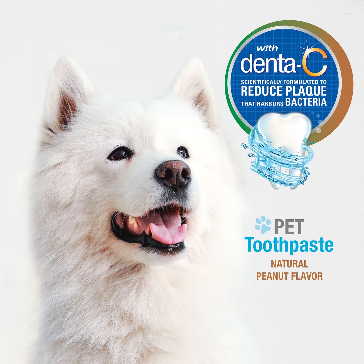 Chewy dog outlet toothpaste