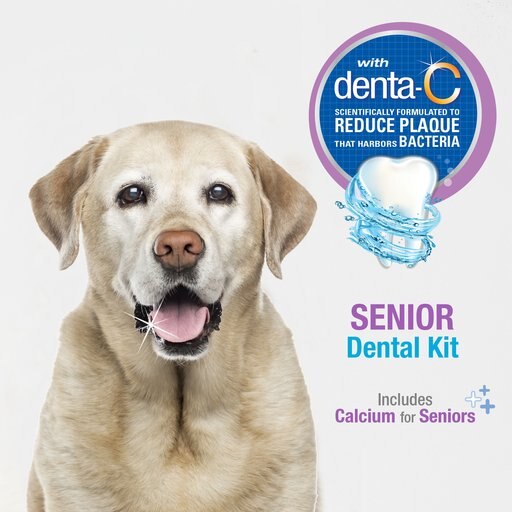 Nylabone Advanced Oral Care Bacon Flavor Senior Dog Dental Kit