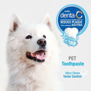 Dog toothpaste best sale brands