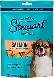 Stewart Wild Salmon Freeze-Dried Dog Treats, 2.75-oz pouch