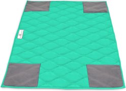 Paw Inspired PopCorner Washable Fleece Guinea Pig Cage Liners & Bedding, C&C 2x3, Green