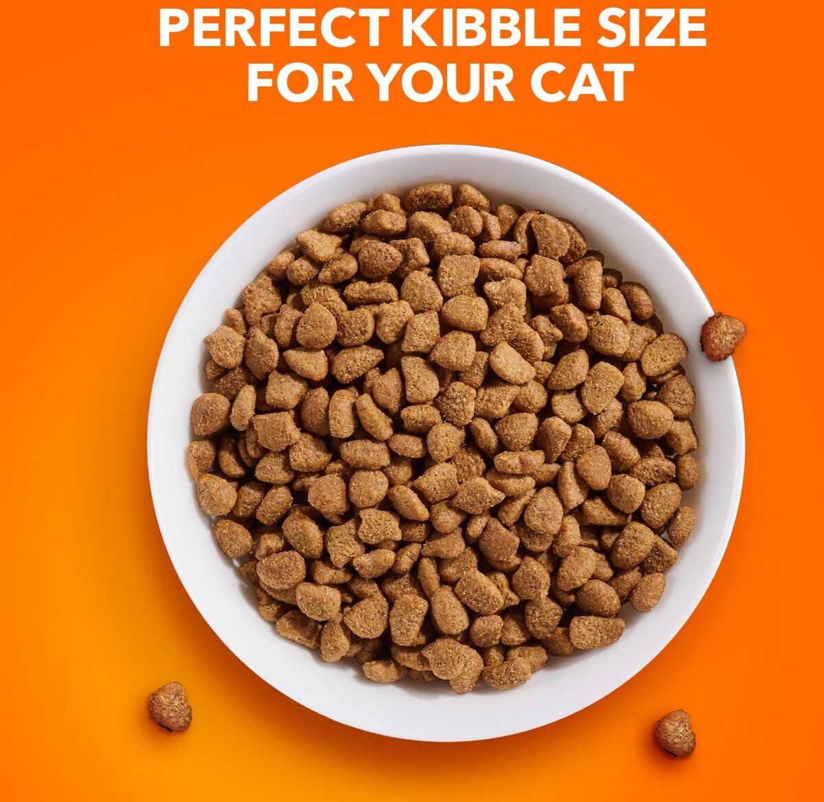 IAMS ProActive Health Adult Hairball Care with Chicken & Salmon Dry Cat