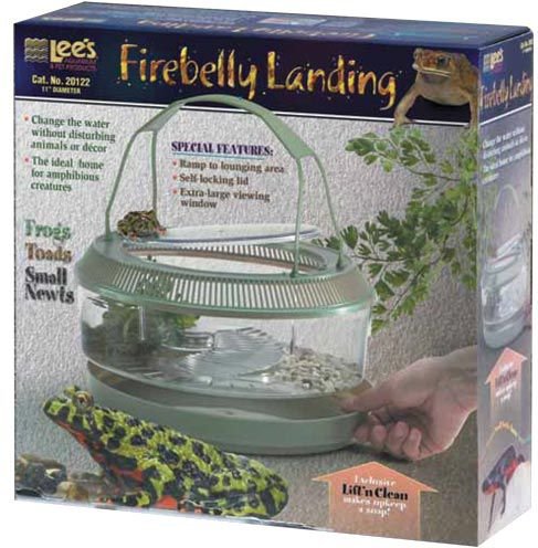 Fire belly hot sale toad habitat