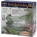 Lee's Aquarium & Pets Firebelly Landing Frogs & Toads Habitat