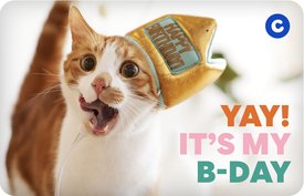 Yay B-Day