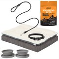 Starter Kit - Frisco Plush Orthopedic Pillowtop Dog Bed w/Removable Cover, Gray, Large + 4 other items