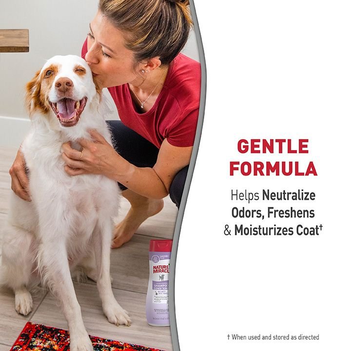 NATURE'S MIRACLE Odor Control Dog Shampoo, Lavender Scent, 16oz bottle