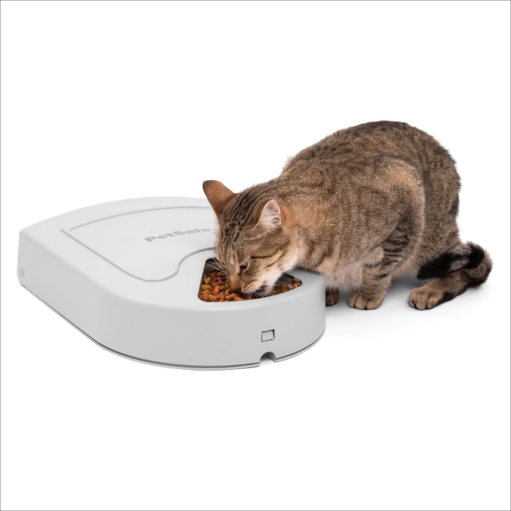 PETSAFE Eatwell 5Meal Automatic Dog & Cat Feeder Customer Questions