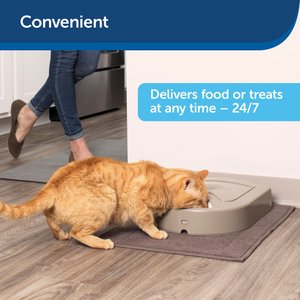 PetSafe Eatwell 5-Meal Automatic Dog & Cat Feeder
