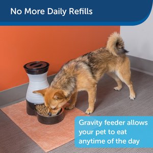 PetSafe Healthy Pet Food Station Gravity Refill Dog & Cat Feeder, 2-lb