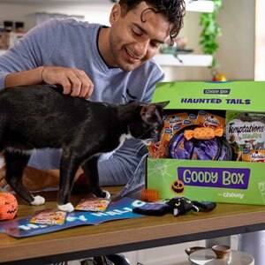 Goody Box Halloween Cat Toys & Treats
