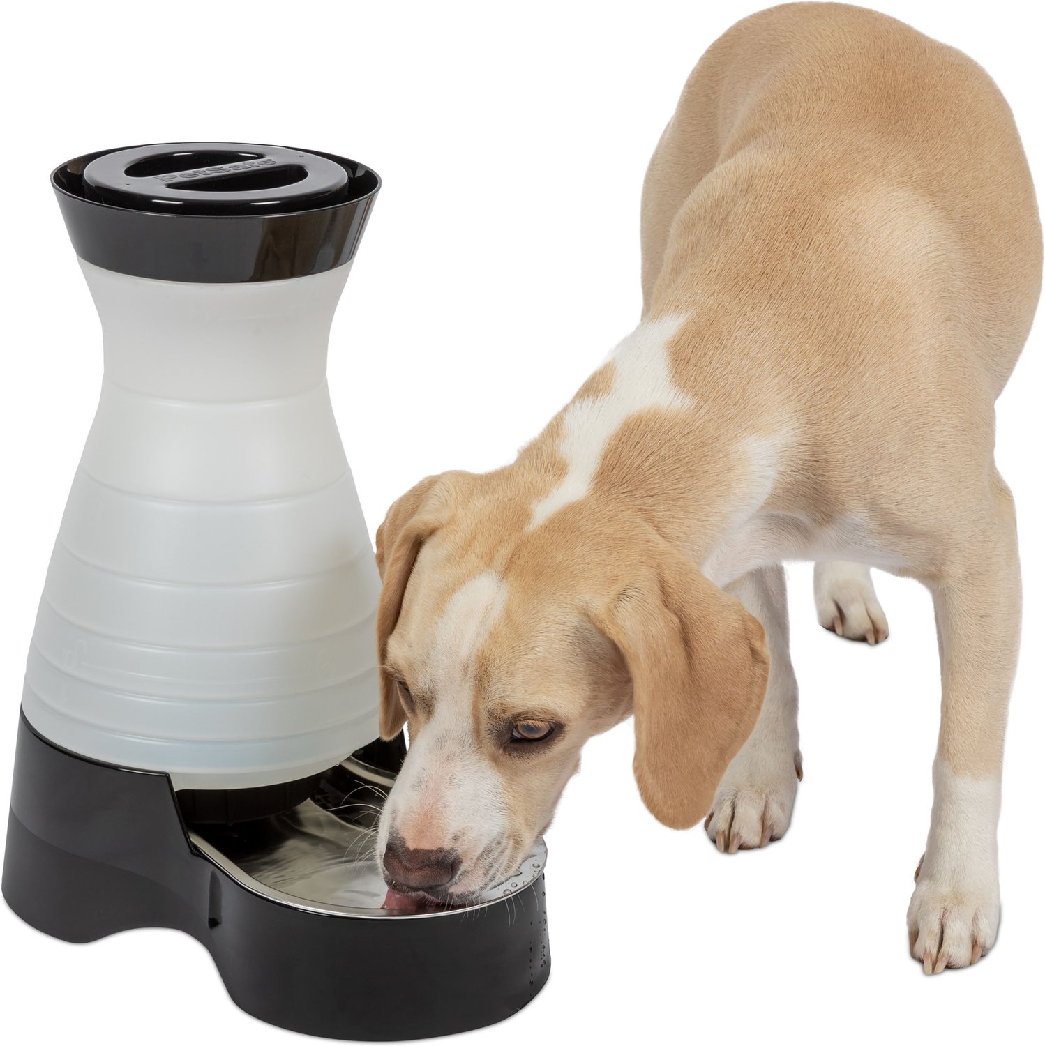PetSafe Healthy Gravity Refill Dog & Cat Waterer