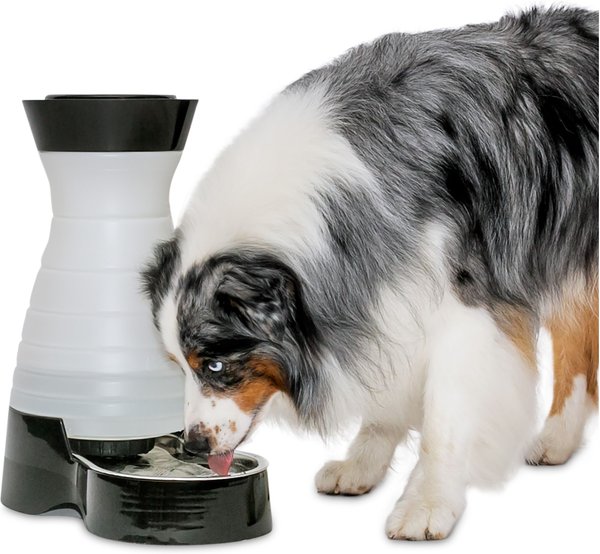 PETSAFE Healthy Gravity Refill Dog 