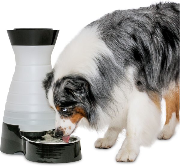 PetSafe Healthy Gravity Refill Dog & Cat Waterer, 320-oz slide 1 of 11