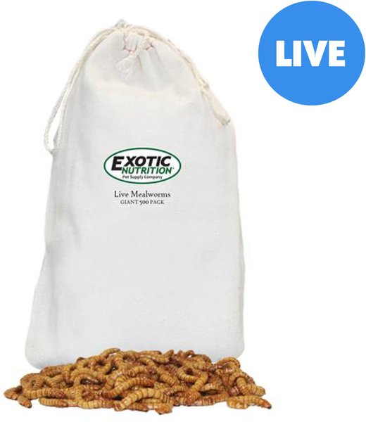 Exotic Nutrition Live Mealworms Reptile Food, Giant, 500 count slide 1 of 5