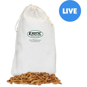 Exotic Nutrition Live Mealworms Reptile Food, Giant, 500 count