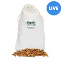 Exotic Nutrition Live Mealworms Reptile Food, Giant, 500 count