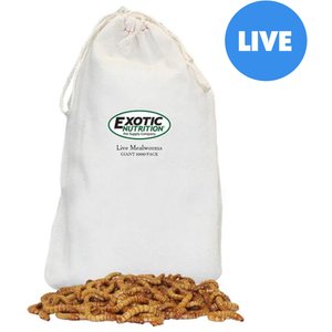 Exotic Nutrition Live Mealworms Reptile Food, Giant, 1000 count