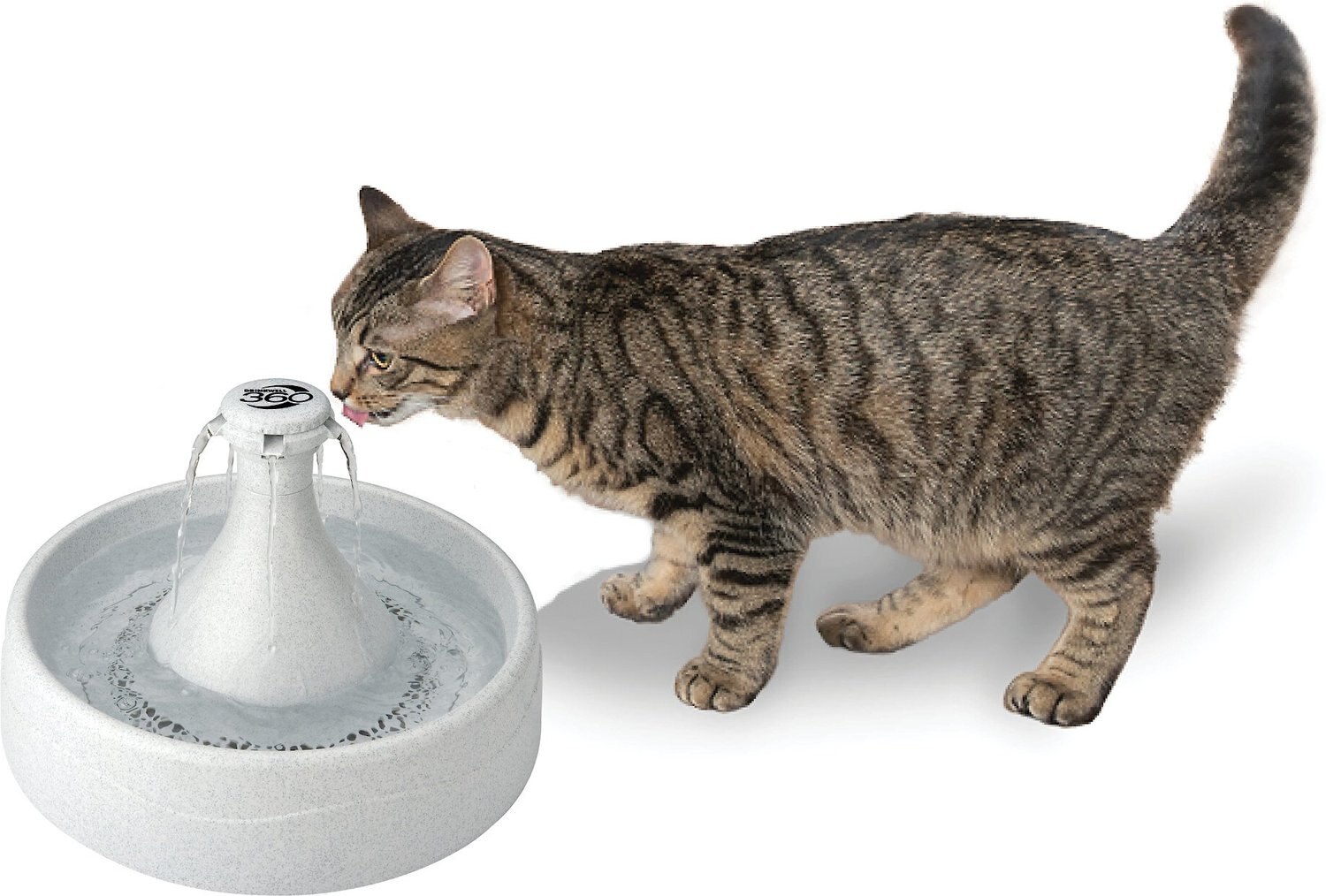 cat water fountain not plastic