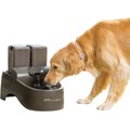 PetSafe Drinkwell Outdoor Plastic Dog & Cat Fountain, 450-oz