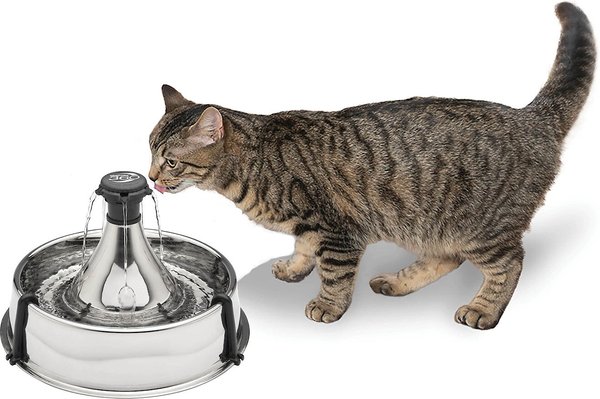 Drinkwell 360 Stainless Steel Cat & Dog Water Fountain, 128-oz slide 1 of 12