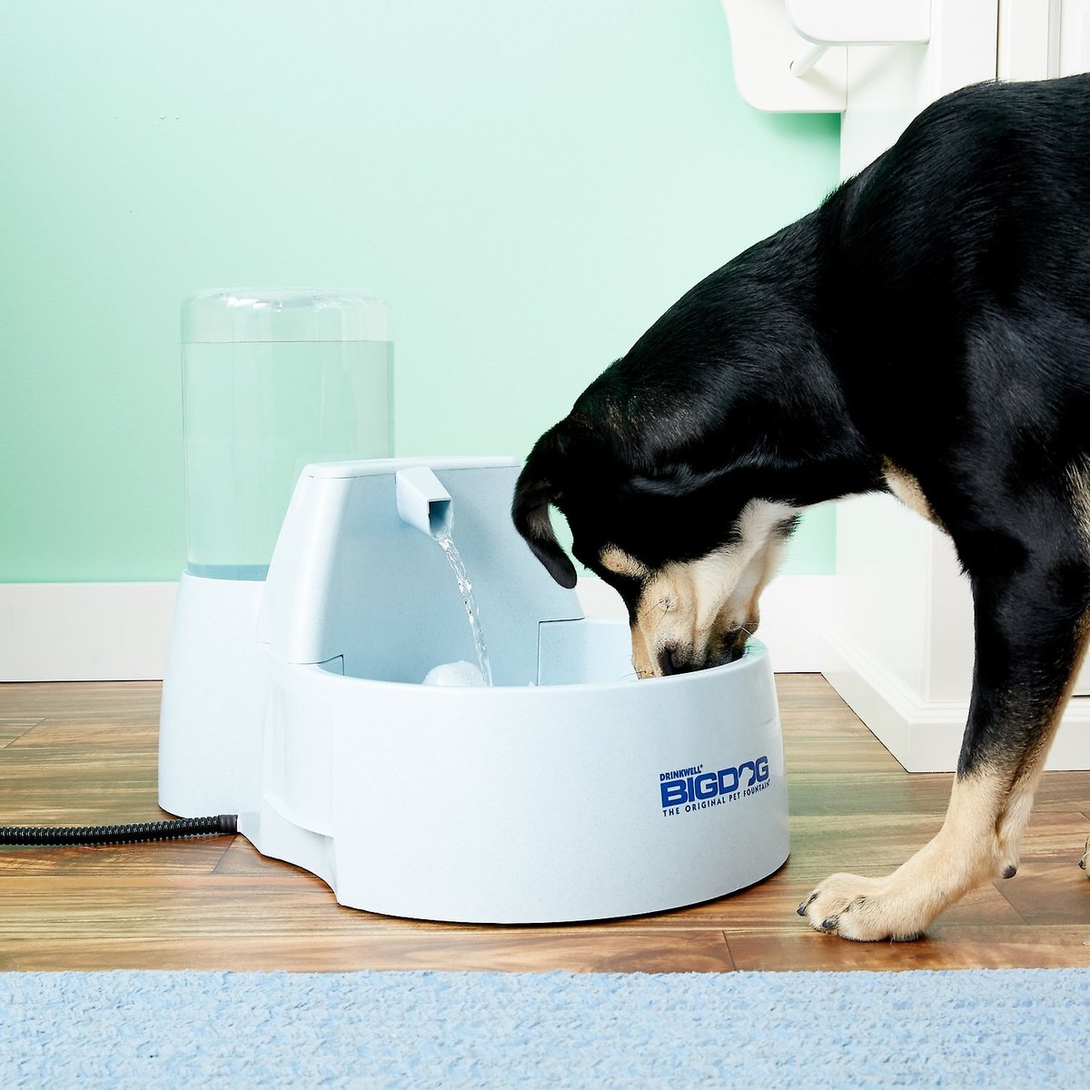 PETSAFE Drinkwell Big Dog Pet Fountain, 2.25gal
