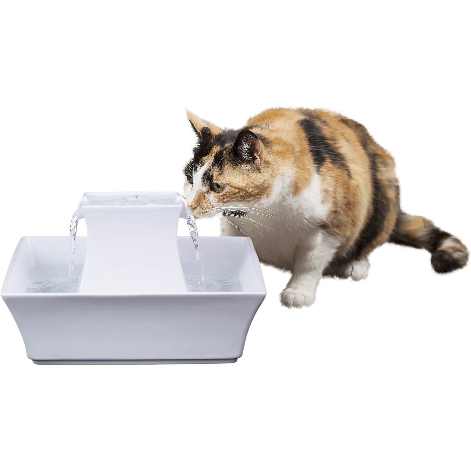 Rabbit Ceramic Automatic Filtered USB Quiet Cat Water Fountain, Happy & Polly, Green, 1 Liter / 33.8 oz