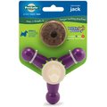 PetSafe Busy Buddy Jack Treat Dispenser Tough Dog Chew Toy, Small, Purple