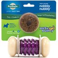 PetSafe Busy Buddy Nobbly Nubbly Treat Dispensing Tough Dog Chew Toy, Small, Purple