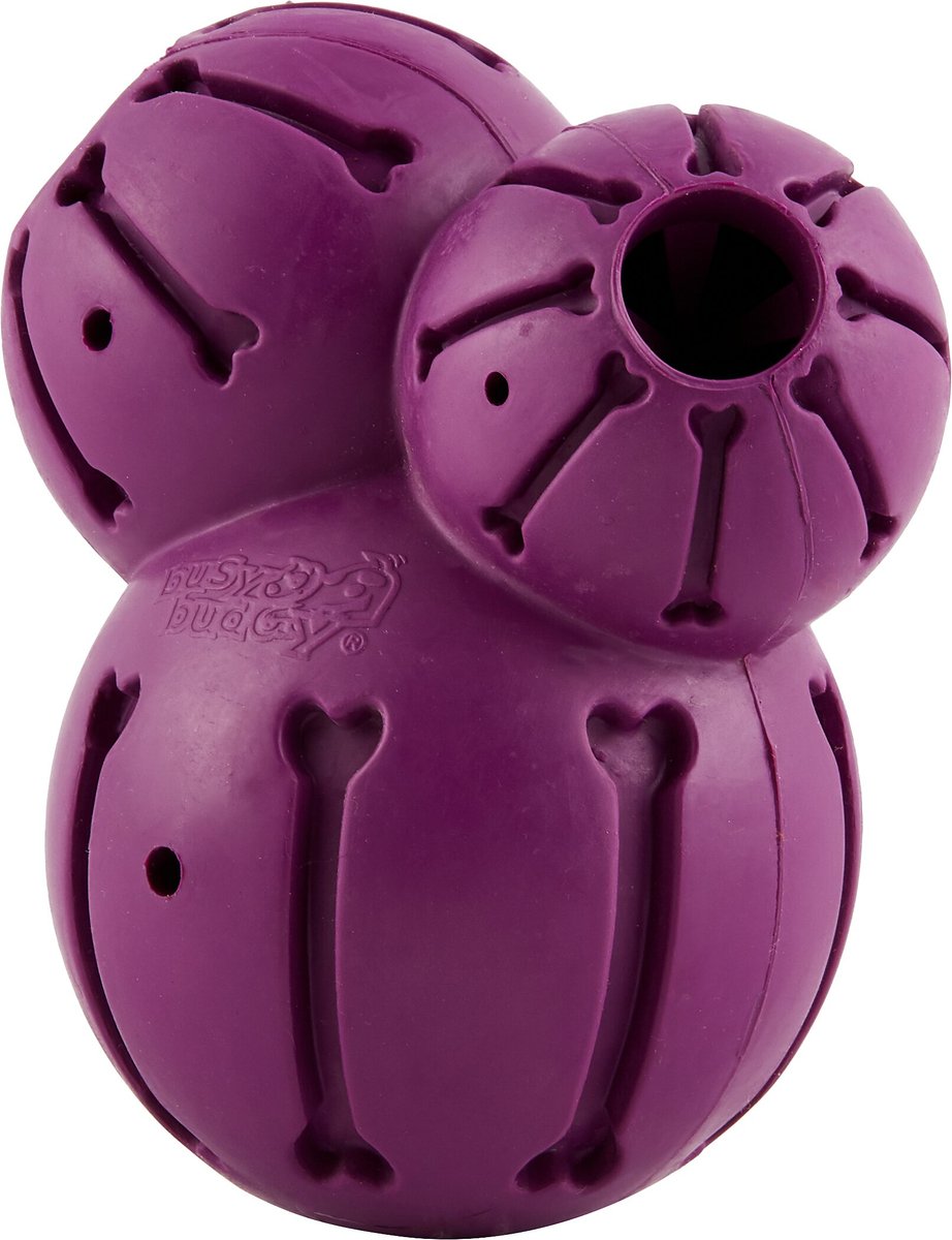 PETSAFE Busy Buddy Barnacle Treat Dispenser Tough Dog Chew Toy, Large