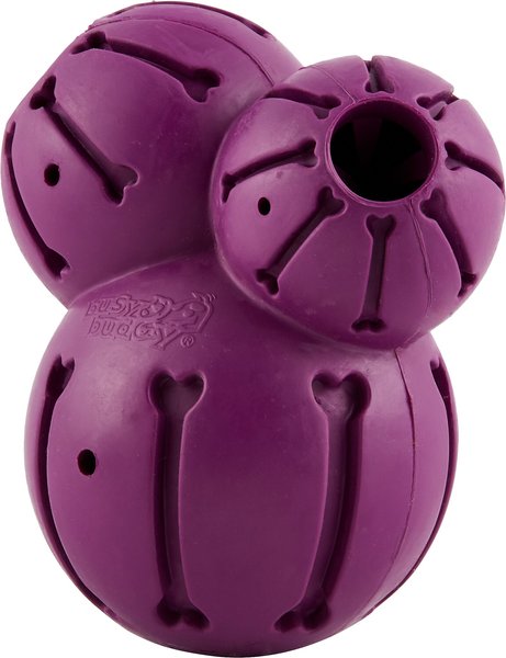 PetSafe Busy Buddy Barnacle Treat Dispenser Tough Dog Chew Toy, Large slide 1 of 9
