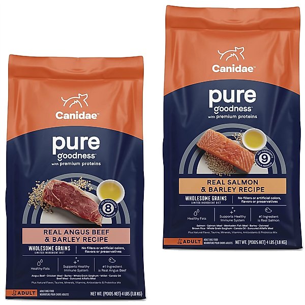 CANIDAE PURE with Wholesome Grains Real Angus Beef & Barley Recipe + Real Salmon & Barley Recipe Dry Dog Food slide 1 of 9