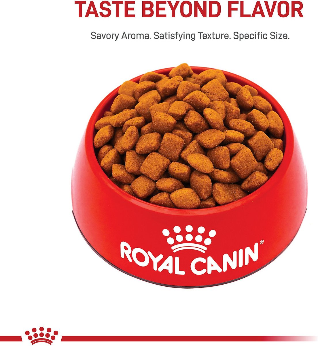 Royal canin giant outlet puppy feeding chart