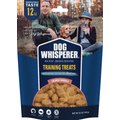 Dog Whisperer Training Salmon Flavored Chewy Dog Treats, 12-oz bag