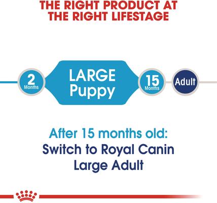 Show full view: Royal Canin Size Health Nutrition Large Puppy Dry Dog Food, 35-lb bag slide 7 of 11