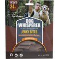 Dog Whisperer Chicken Flavored Sticks Jerky Dog Treats, 24-oz bag
