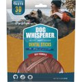 Dog Whisperer Beef Flavored Dental Dog Treats, 30 count, 16-oz bag