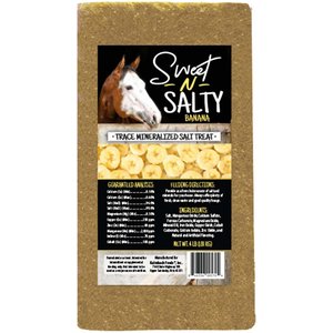Kalmbach Feeds Sweet N Salty Banana Flavored Horse Salt Treat, 4-lb brick