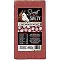 Kalmbach Feeds Sweet N Salty Peppermint Flavored Horse Salt Treat, 4-lb brick