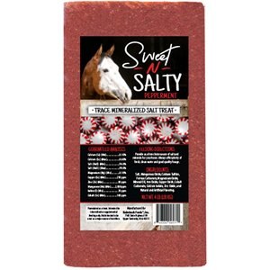 Kalmbach Feeds Sweet N Salty Peppermint Flavored Horse Salt Treat, 4-lb brick