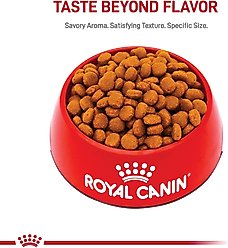 Royal Canin Size Health Nutrition Large Adult 5+ Dry Dog Food, 30-lb bag slide 2 of 9