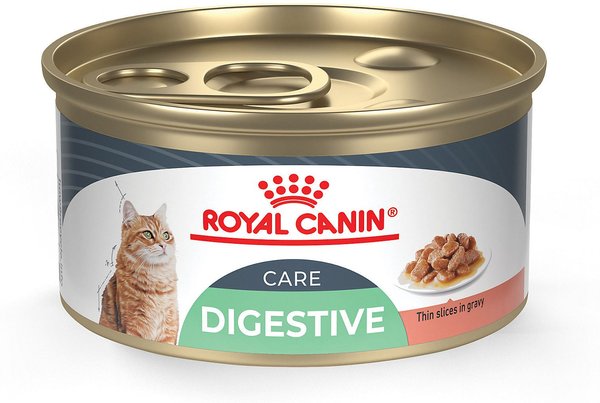 Royal Canin Feline Care Nutrition Digest Sensitive Thin Slices in Gravy Canned Cat Food, 3-oz, case of 24 slide 1 of 6
