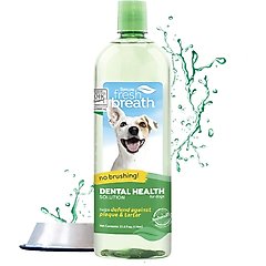 TropiClean Fresh Breath Dental Health Solution Dog Dental Water Additive, 33.8-oz bottle
