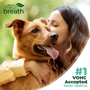TropiClean Fresh Breath Dental Health Solution Dog Dental Water Additive, 33.8-oz bottle