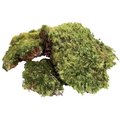 Zoo Med All Natural Frog Moss, 80-in