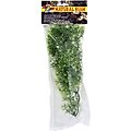Zoo Med Australian Maple Bush Plant, Medium